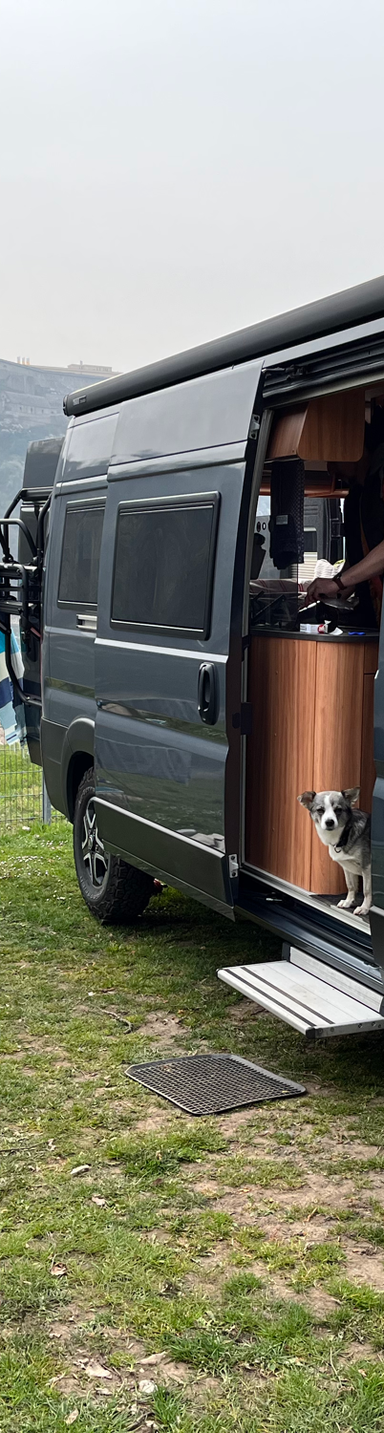 Wohnmobil mit offener Schiebtüre, Skadi schaut in die Kamera
